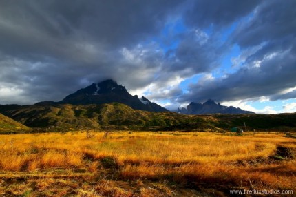 Fields Of Patagonia